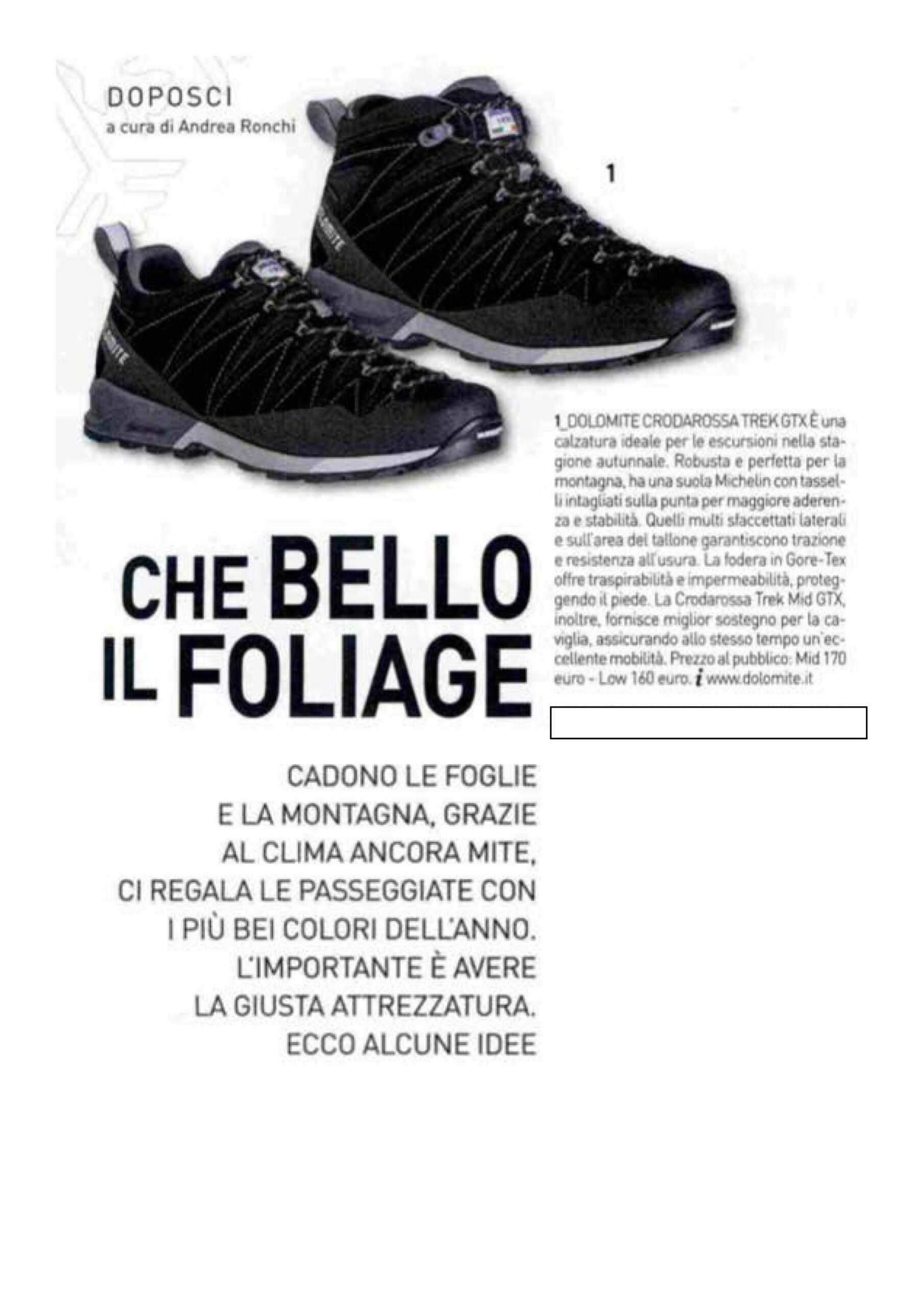 Scopri di più sull'articolo Dolomite Crodarossa Trek GTX | sciare