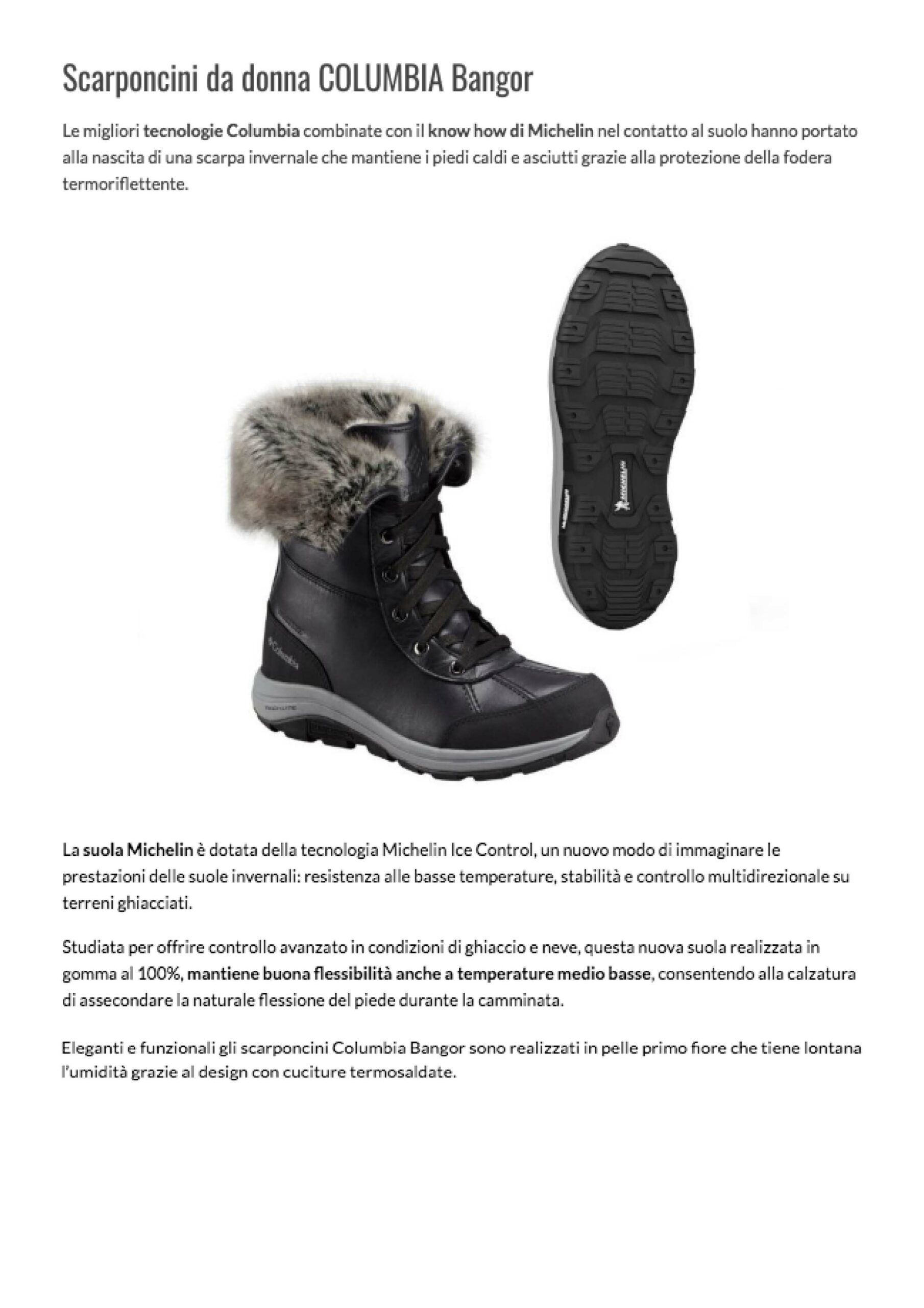 Scopri di più sull'articolo Columbia Bangor | Trekking.it